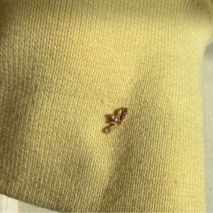 Pupil hall flutter earring